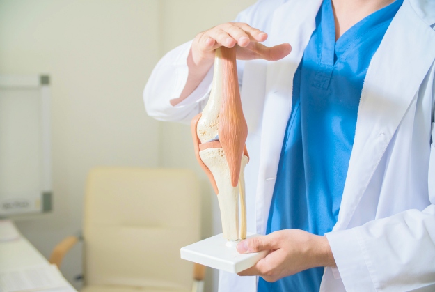 Posterior Cruciate Ligament PCL – Medical Services Puerto Vallarta